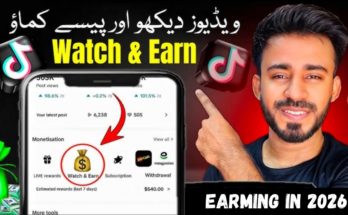 Real Money Just by Watching TikTok